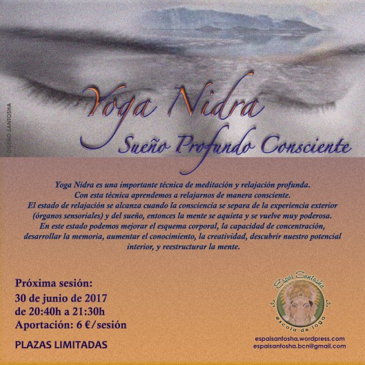 CARTEL NIDRA YOGA_JUNIO 2017
